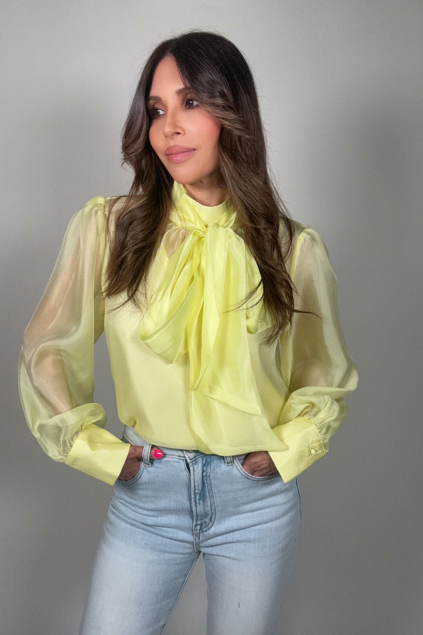 Pastel Chiffon Long Sleeve Bow-Tie Blouse Born To Glam