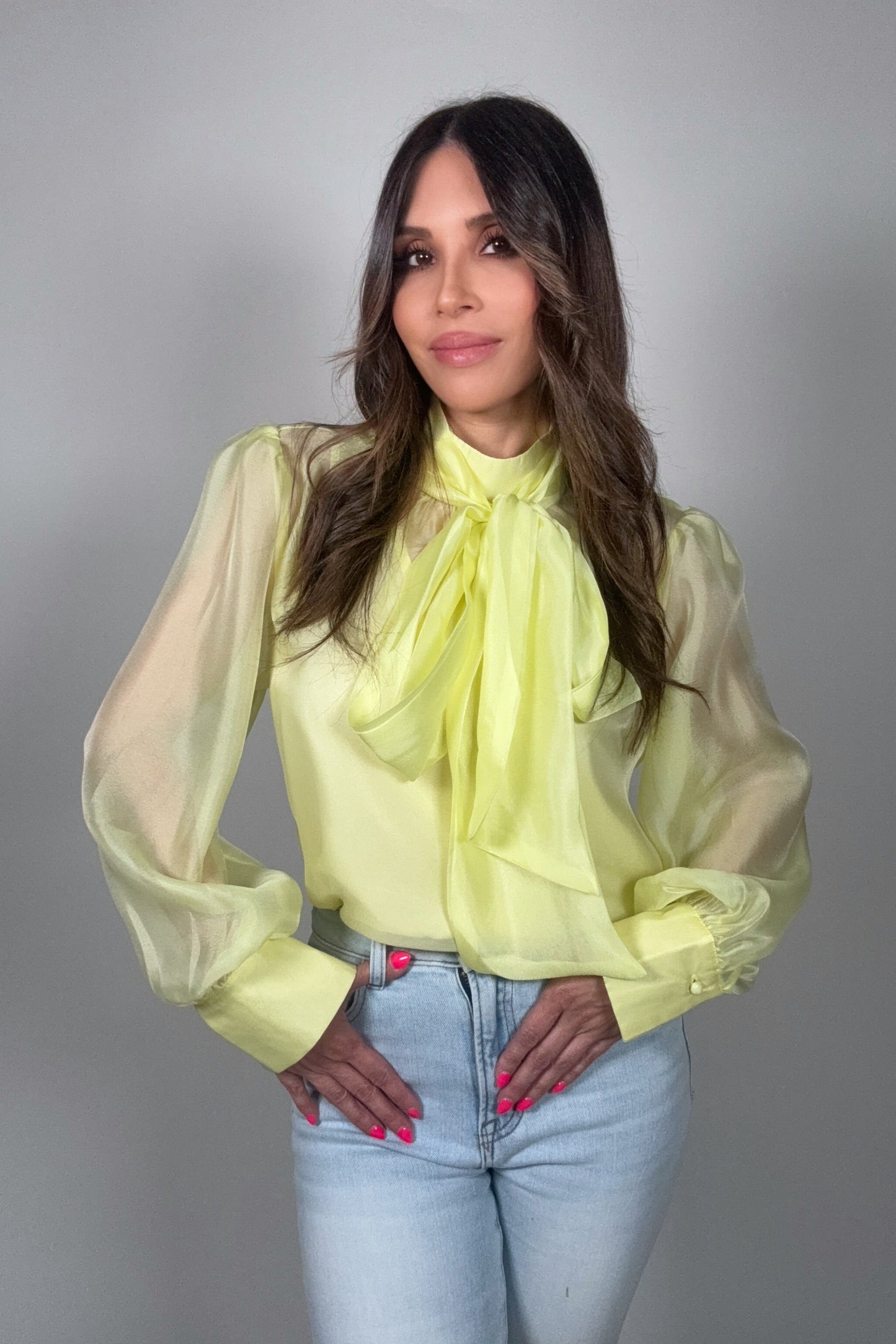 Pastel Chiffon Long Sleeve Bow-Tie Blouse Born To Glam