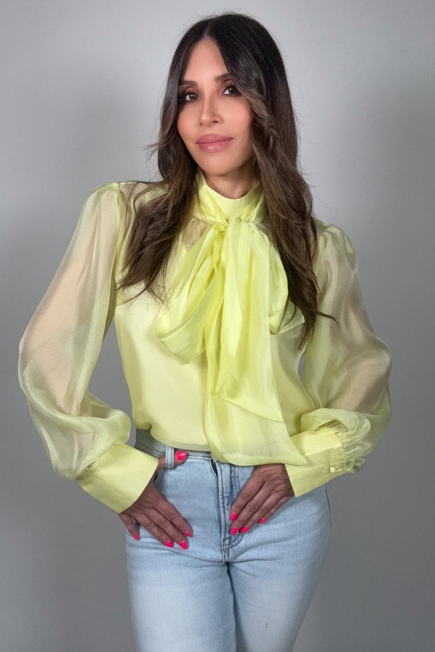 Pastel Chiffon Long Sleeve Bow-Tie Blouse - Born To Glam Born To Glam