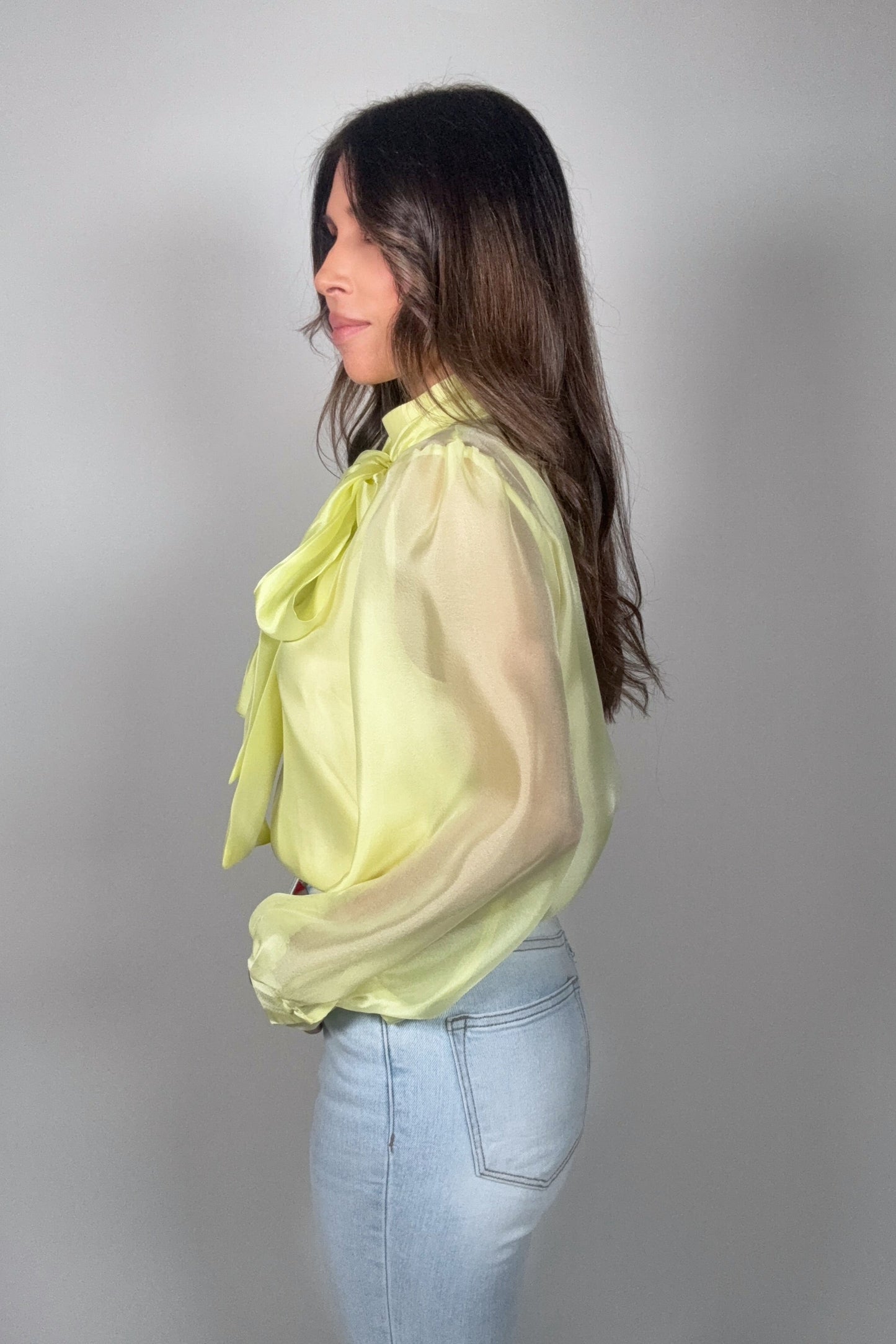 Pastel Chiffon Long Sleeve Bow-Tie Blouse Born To Glam