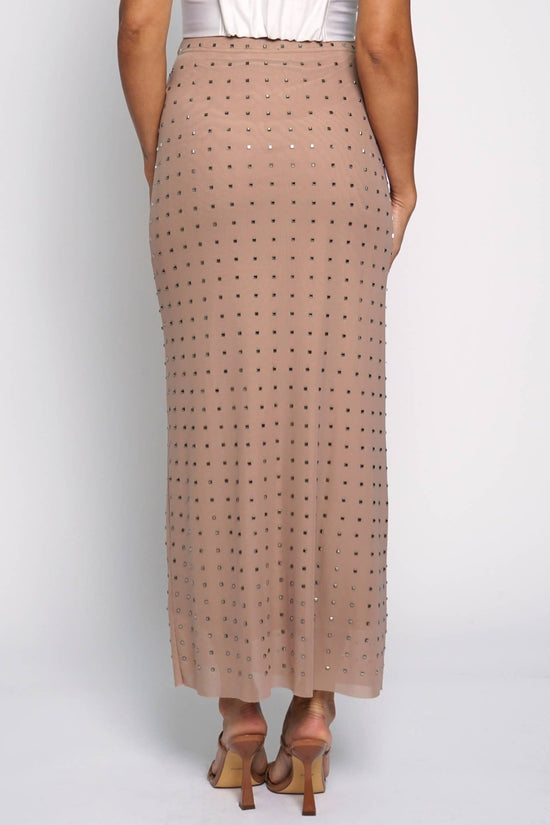 Nude Mirror Mesh Maxi Skirt Born To Glam